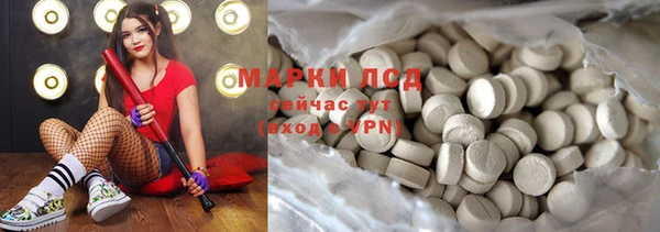 индика Краснослободск