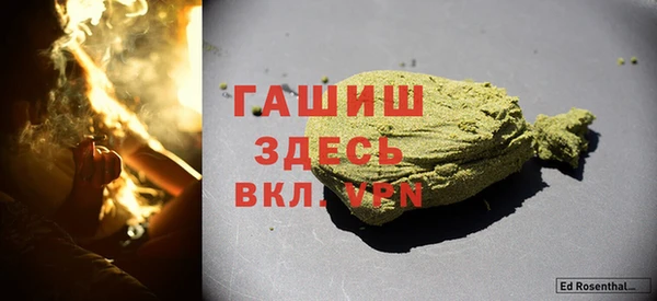 индика Краснослободск