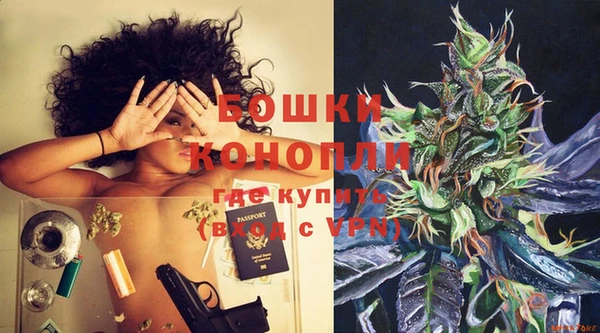 индика Краснослободск