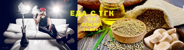 индика Краснослободск