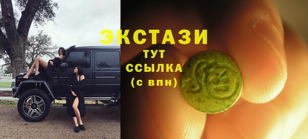 индика Краснослободск