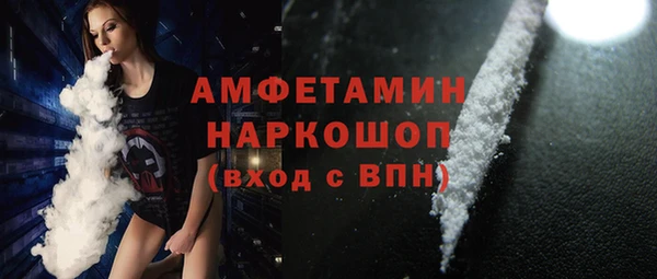 индика Краснослободск