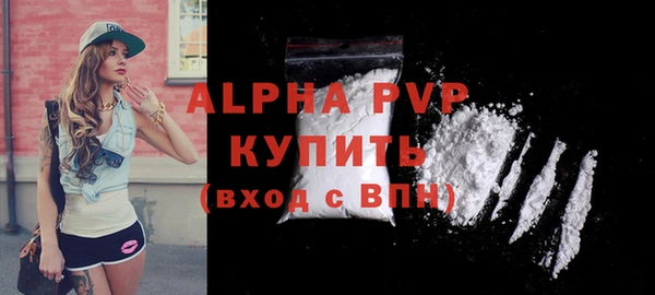 индика Краснослободск