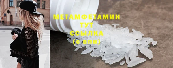 индика Краснослободск