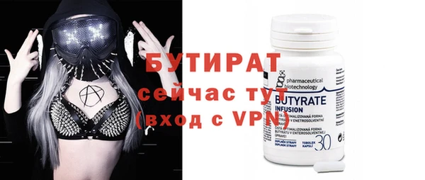 индика Краснослободск