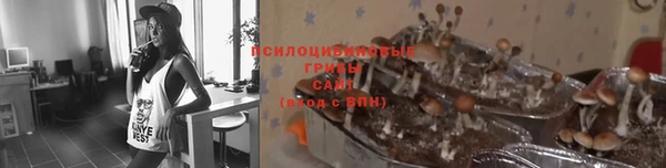 индика Краснослободск