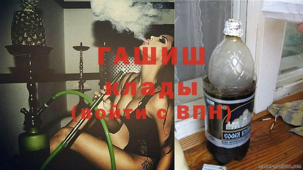 индика Краснослободск