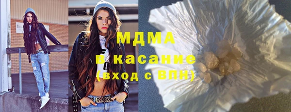 индика Краснослободск