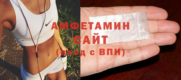 индика Краснослободск