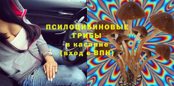 индика Краснослободск