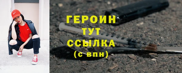 индика Краснослободск